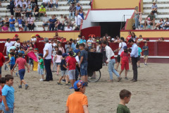  Criar Aficion